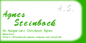 agnes steinbock business card